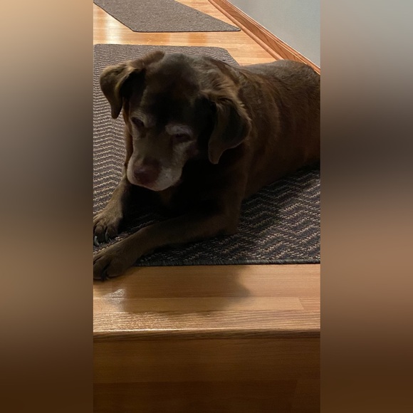 Meet your Posher, Karen - Picture 7 of 17